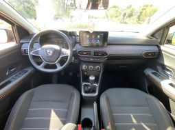 dacia-sandero-iii-fy-788-lr-13-1696605586.JPG