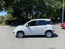 fiat-panda-fg-641-tl-1-1657630463.JPG
