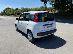 fiat-panda-fg-641-tl-11-1657630491.JPG