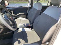 fiat-panda-fg-641-tl-12-1657630491.JPG