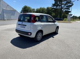 fiat-panda-fg-641-tl-3-1657630474.JPG