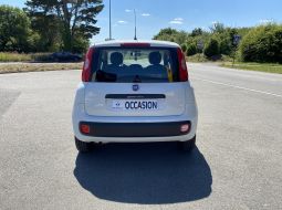 fiat-panda-fg-641-tl-5-1657630478.JPG