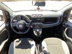 fiat-panda-fg-641-tl-9-1657630489.JPG
