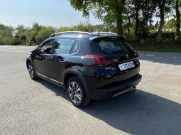 peugeot-2008-ej-497-fv-9-1650554495.JPG