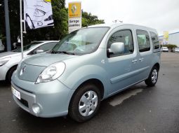 renault-kangoo-ce-986-xt-8-1498839118.JPG