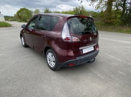 renault-scenic-iii-dx-374-yn-8-1714054903.JPG