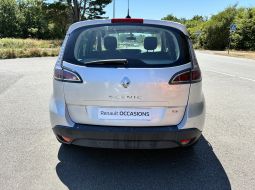 renault-scenic-iii-eb-177-bs-17-1784534379.JPG