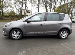 renault-scenic-iii-ec-682-yh-5-1554474205.jpg