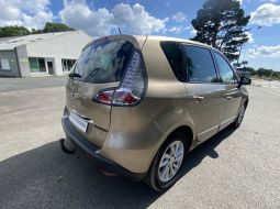 renault-scenic-iii-k-yc444-19-1753284334.JPG