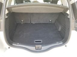 renault-scenic-iv-ex-619-mx-9-1651849679.JPG