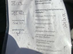 renault-trafic-iii-ff600qe-12-1701179602.jpg
