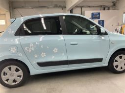 renault-twingo-iii-necb2510-14-1747821410.jpg