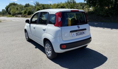 fiat-panda-fg-641-tl-11-1657630491.JPG