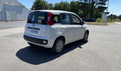 fiat-panda-fg-641-tl-3-1657630474.JPG