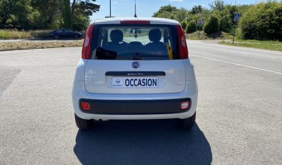 fiat-panda-fg-641-tl-5-1657630478.JPG