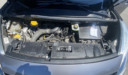 renault-grand-scenic-iii-ru-lh13-22-1747312198.JPG