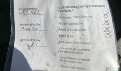 renault-trafic-iii-ff600qe-12-1701179602.jpg
