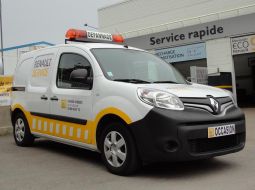 renault-kangoo-dm-421-vt-13-1479722643.JPG